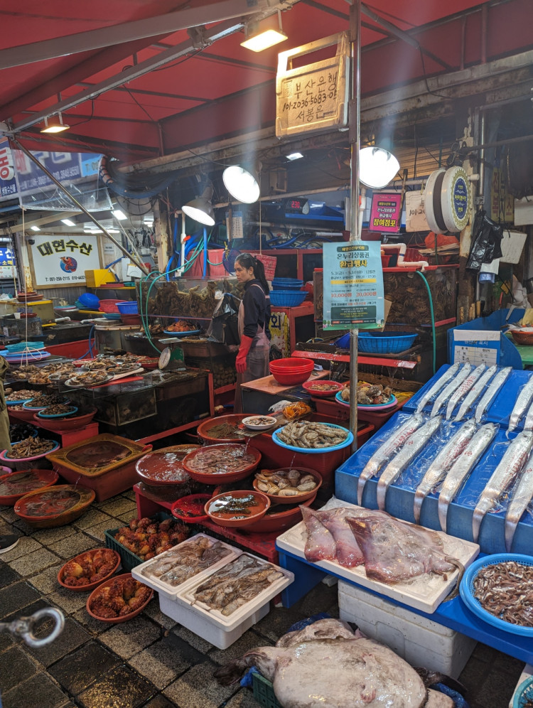 <p>Le marché est une excellente expérience, même sans se convaincre d'y manger.</p>