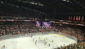 Kölner Haie