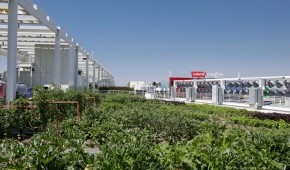 Levi's Stadium - Jardin sur le toit