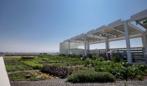 Levi's Stadium - Le potager sur le toit