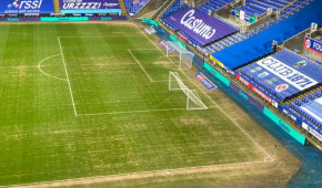 Madejski Stadium - Pelouse en mauvaise état - décembre 2020