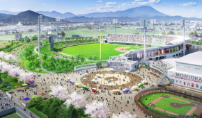 Morioka Minami Park Ballpark - Vue générale
