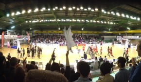 Petit palais des sports de Toulouse - Rencontre du TMB face à Roche Vendée - copyright OStadium.com