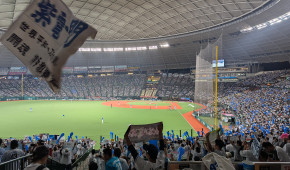 NPB : Saitama Seibu Lions - Hokkaido Nippon-Ham Fighters (Japon 1/8 : Préambule)