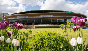 Wimbledon - Court No1 avec toit rétractable