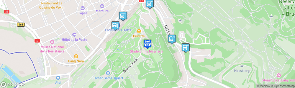 Static Map of Stade Émile Mayrisch