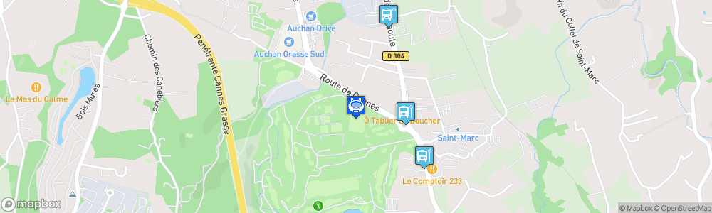 Static Map of Stade de La Paoute