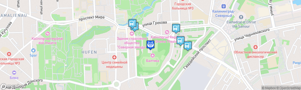 Static Map of Kaliningrad Stadium