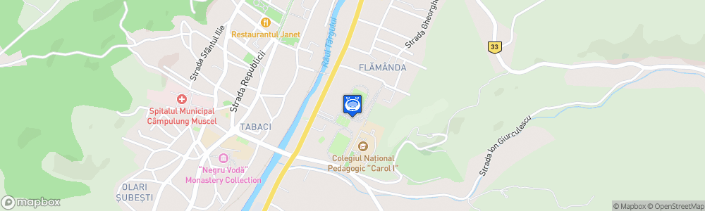 Static Map of Stadionul Muscelul