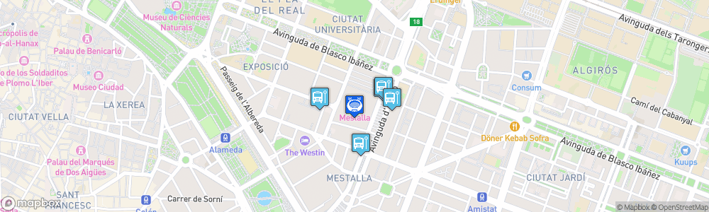 Static Map of Estadio de Mestalla